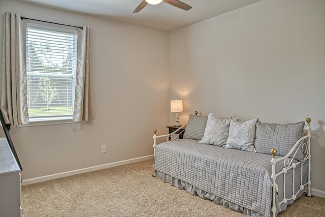 319 Greymoor Ln, Cookeville, TN 38501 - photo 28