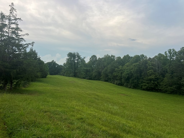 99 Means Ln, Byrdstown, TN 38549 - photo 3