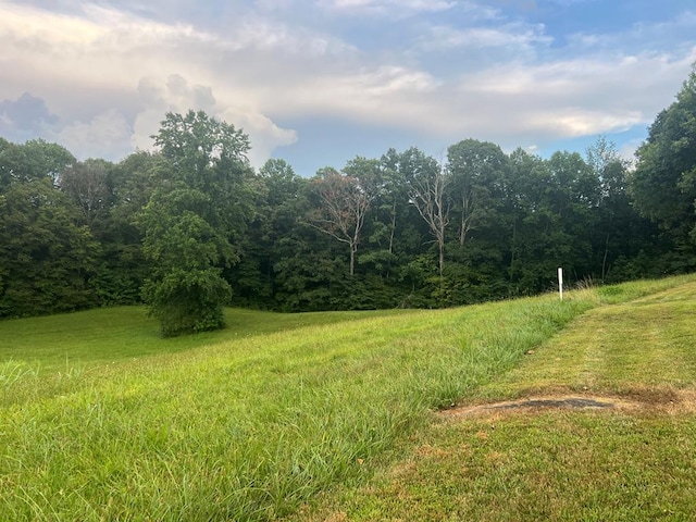 99 Means Ln, Byrdstown, TN 38549 - photo 1