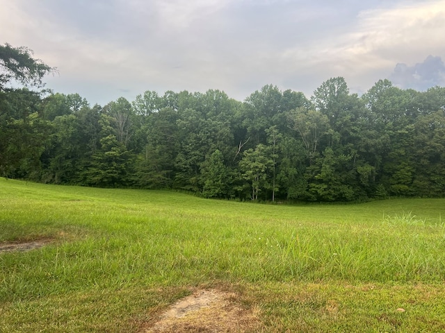 99 Means Ln, Byrdstown, TN 38549 - photo 4