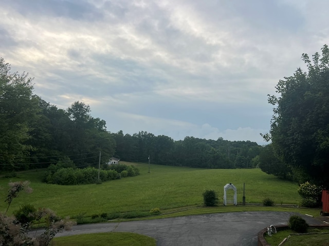 99 Means Ln, Byrdstown, TN 38549 - photo 8