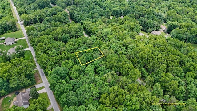 2116 Black Wolf Dr, Crossville, TN 38572 - photo 1