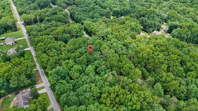 2116 Black Wolf Dr, Crossville, TN 38572 - photo 3
