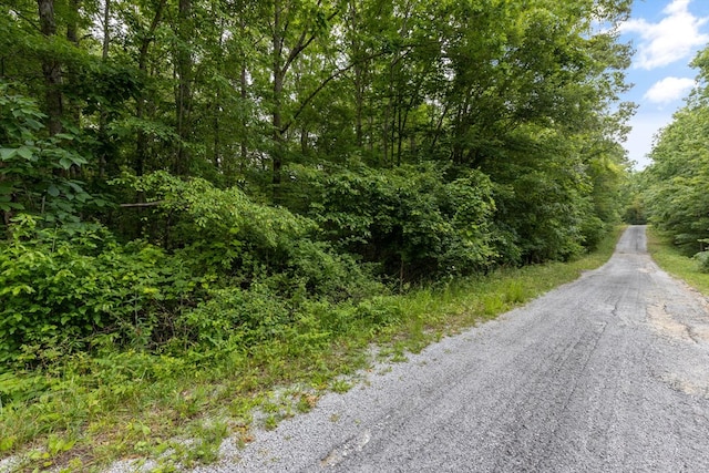 2116 Black Wolf Dr, Crossville, TN 38572 - photo 8