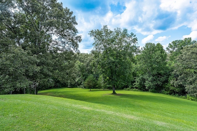 view of yard featuring view of golf course