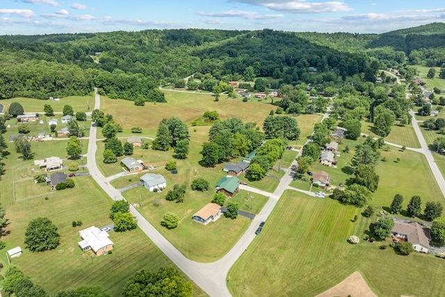 1300 Lakeview Rd, Livingston, TN 38570 - photo 34