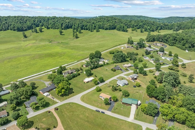1300 Lakeview Rd, Livingston, TN 38570 - photo 36
