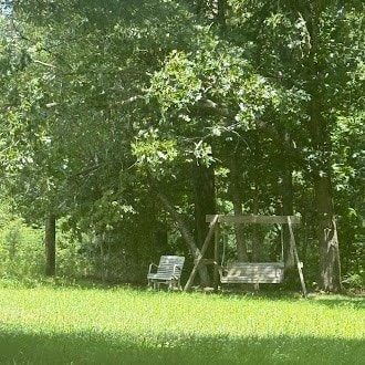5740 S York Hwy, Clarkrange, TN 38553 - view of yard