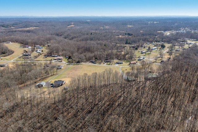 00 Martin Ridge Ln, Gainesboro, TN 38562 - photo 11