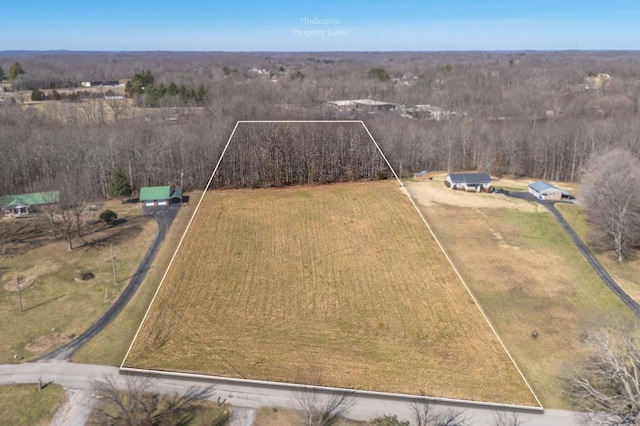 00 Martin Ridge Ln, Gainesboro, TN 38562 - photo 1