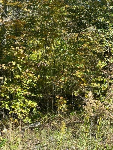 LOT52 Cheyenne Dr, Jamestown TN, 38556 land for sale