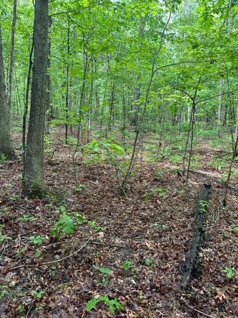 Listing photo 3 for LOT52 Cheyenne Dr, Jamestown TN 38556