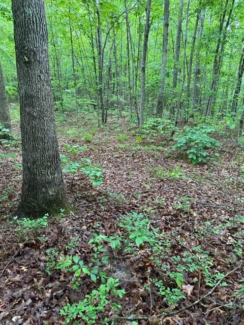 Listing photo 2 for LOT52 Cheyenne Dr, Jamestown TN 38556