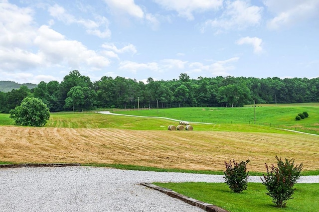 17124 Old Kentucky Rd, Walling, TN 38587 - photo 69