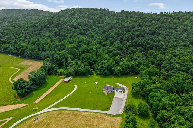 17124 Old Kentucky Rd, Walling, TN 38587 - photo 58