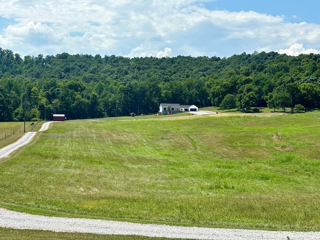 17124 Old Kentucky Rd, Walling, TN 38587 - photo 72