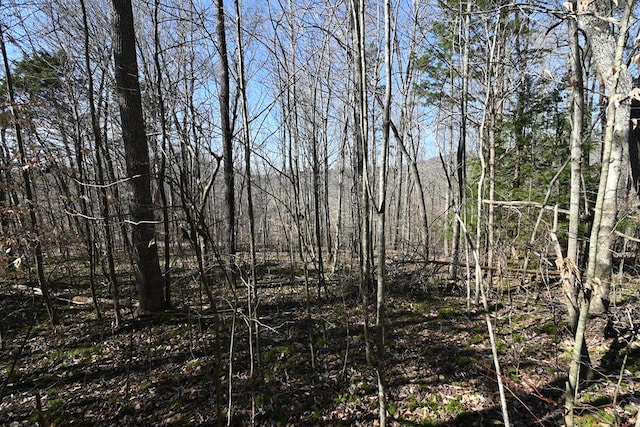 LOT32 Old Stephens Rd, Jamestown, TN 38549