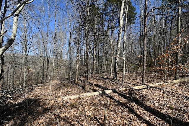 LOT32 Old Stephens Rd, Jamestown, TN 38549