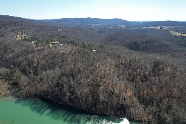 LOT32 Old Stephens Rd, Jamestown, TN 38549