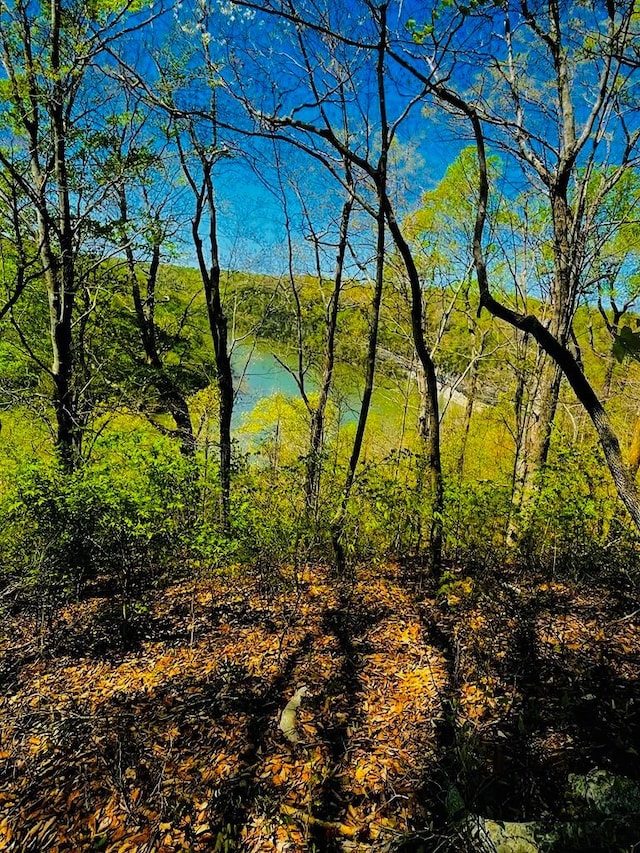 LOT32 Old Stephens Rd, Jamestown, TN 38549 - photo 24