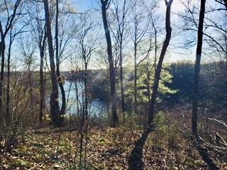 LOT32 Old Stephens Rd, Jamestown, TN 38549 - photo 23