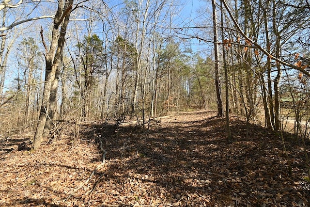LOT32 Old Stephens Rd, Jamestown, TN 38549