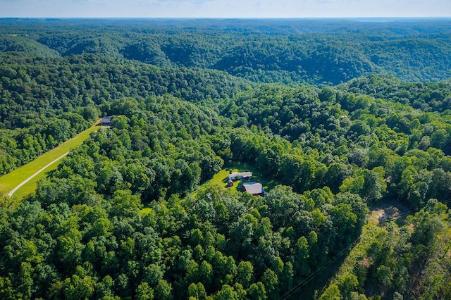 5088 Baptist Ridge Rd, Hilham, TN 38568 - aerial view of a heavily wooded area