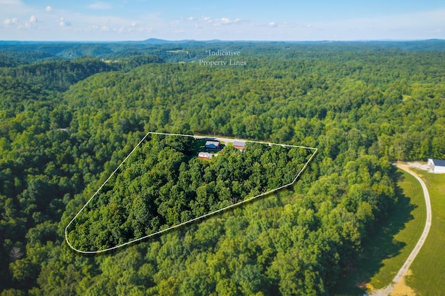 5088 Baptist Ridge Rd, Hilham, TN 38568 - view of property location with a heavily wooded area and property boundaries highlighted