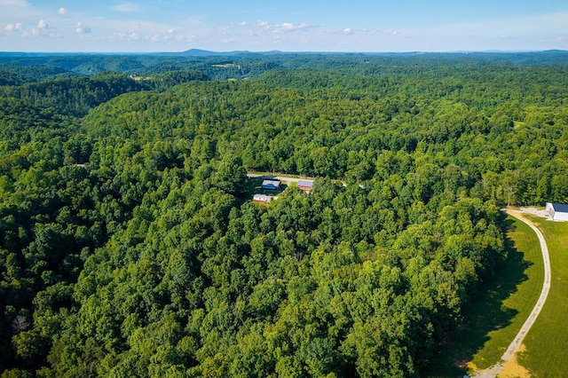 5088 Baptist Ridge Rd, Hilham, TN 38568 - aerial view of a forest