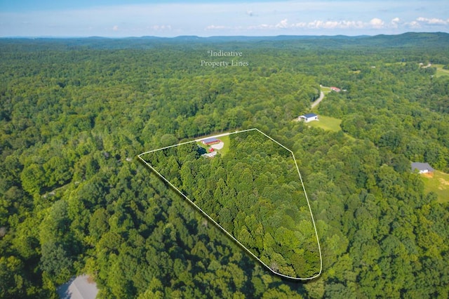 5088 Baptist Ridge Rd, Hilham, TN 38568 - aerial view of property's location with a forest and property boundaries highlighted