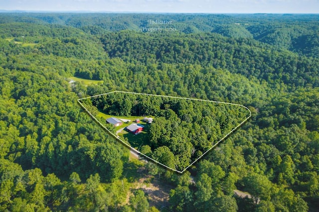 5088 Baptist Ridge Rd, Hilham, TN 38568 - view of property location with property boundaries highlighted