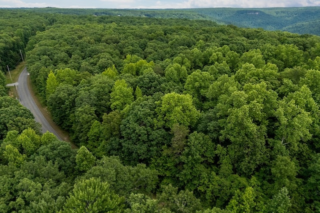 Listing photo 2 for LOT28 Cumberland Cove Rd, Monterey TN 38574