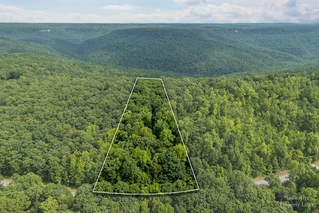 LOT28 Cumberland Cove Rd, Monterey TN, 38574 land for sale