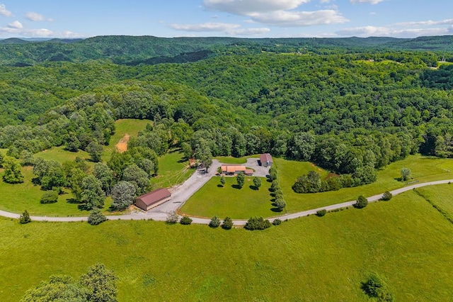 168 Davis Hollow Rd, Hilham, TN 38568 - photo 6