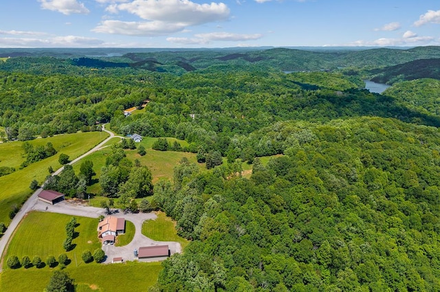 168 Davis Hollow Rd, Hilham, TN 38568 - photo 14