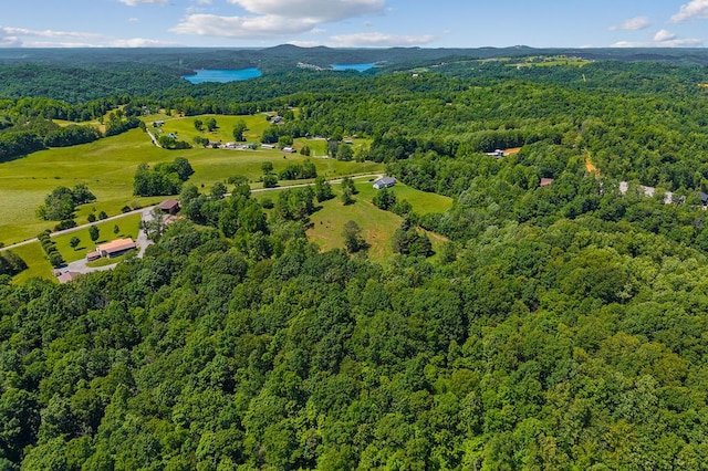 168 Davis Hollow Rd, Hilham, TN 38568 - photo 15