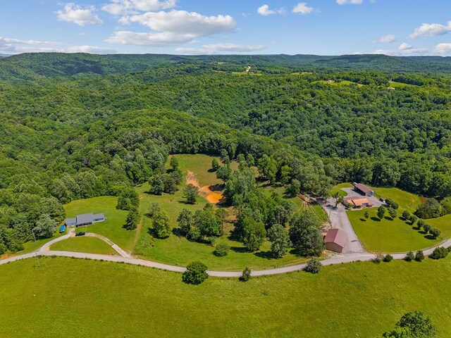 168 Davis Hollow Rd, Hilham, TN 38568 - photo 12