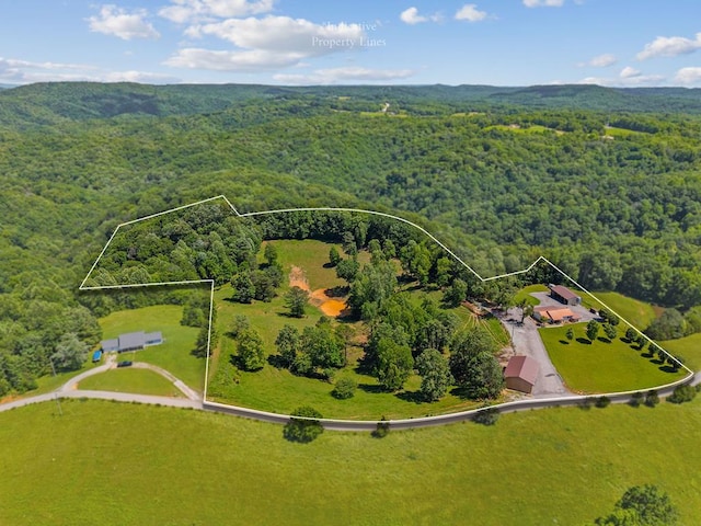168 Davis Hollow Rd, Hilham, TN 38568 - photo 13