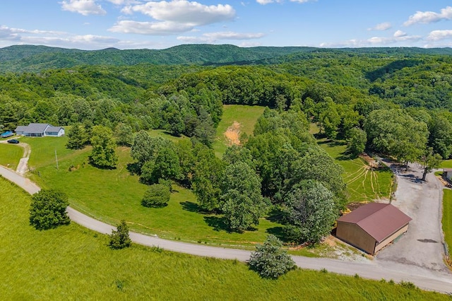 168 Davis Hollow Rd, Hilham, TN 38568 - photo 10