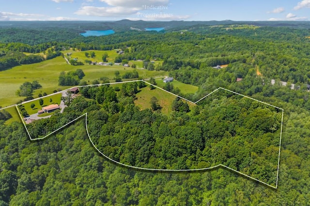 168 Davis Hollow Rd, Hilham, TN 38568 - photo 16