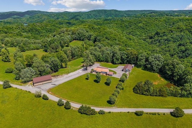 168 Davis Hollow Rd, Hilham, TN 38568 - photo 1