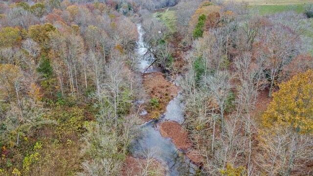 birds eye view of property featuring a wooded view