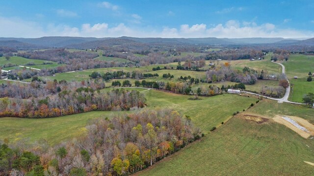 drone / aerial view with a rural view and a mountain view