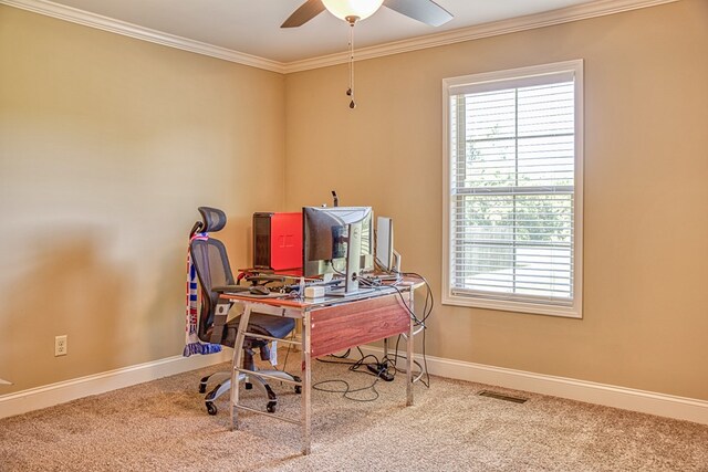 1570 Clemmons Rd, Cookeville, TN 38501 - photo 17