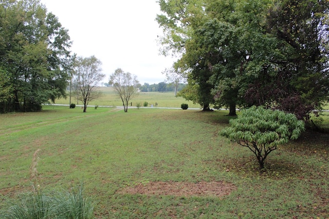 view of yard featuring a rural view