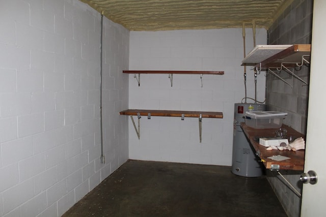 unfinished basement featuring concrete block wall and electric water heater