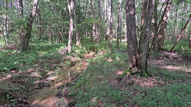TRACT4 Airport Rd, Piney Creek Acres, Rockwood, TN 37854 - photo 24