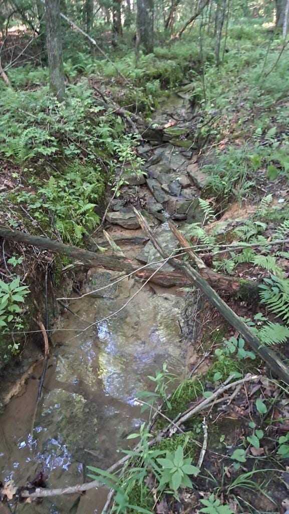 TRACT4 Airport Rd, Piney Creek Acres, Rockwood, TN 37854 - photo 11