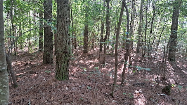 TRACT4 Airport Rd, Piney Creek Acres, Rockwood, TN 37854 - photo 10