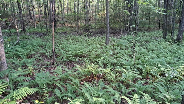 TRACT4 Airport Rd, Piney Creek Acres, Rockwood, TN 37854 - photo 15